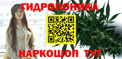 гидропоника Бузулук