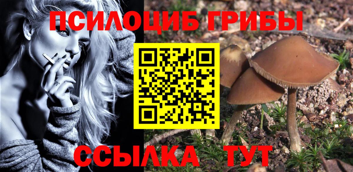 Галлюциногенные грибы прущие грибы Нефтеюганск