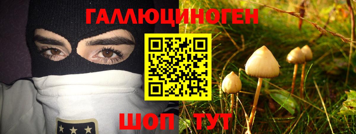 Галлюциногенные грибы Cubensis  Вход с VPN  Нефтеюганск 